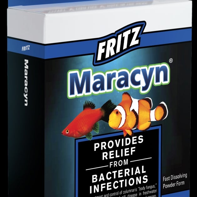 Fizzy Aquatics